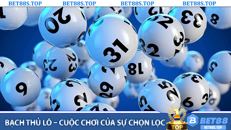 Bạch Thủ Lô – Cuộc chơi của sự chọn lọc