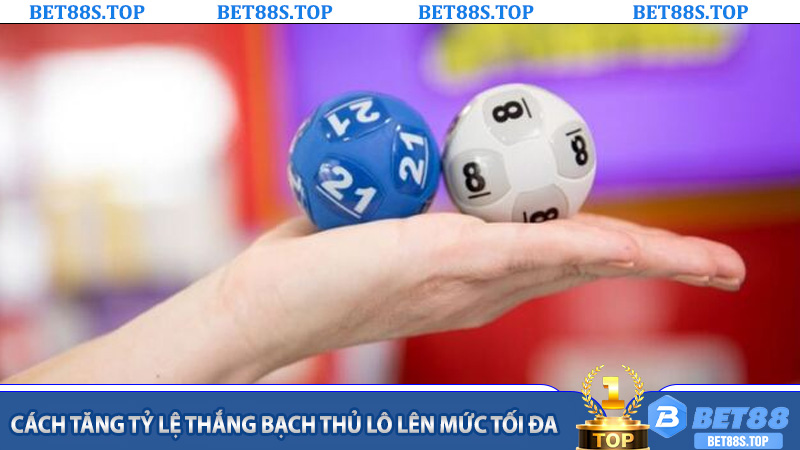 Cách tăng tỷ lệ thắng Bạch Thủ Lô lên mức tối đa